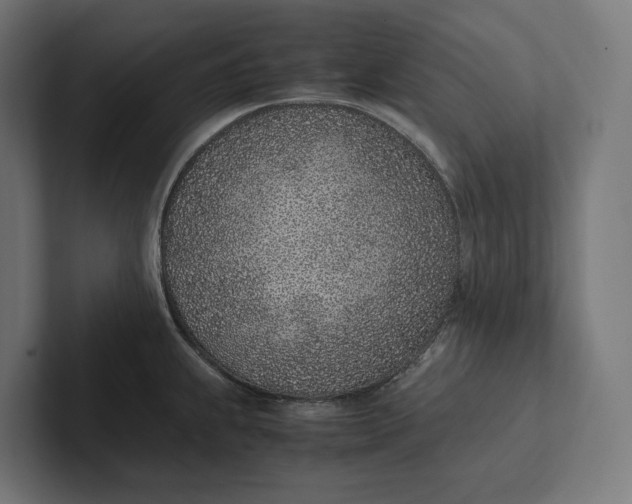 X0000101991239200808011054