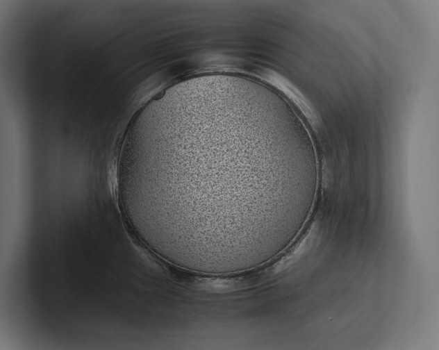 X0000101991241200808011055