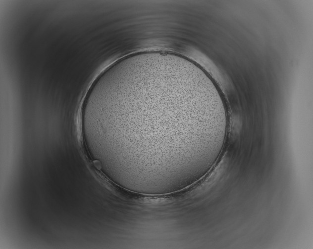 X0000101991242200808011055