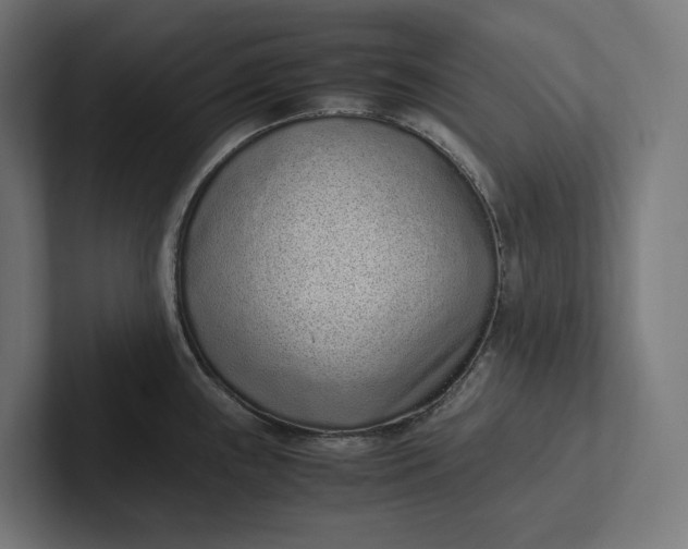 X0000101991243200808011055