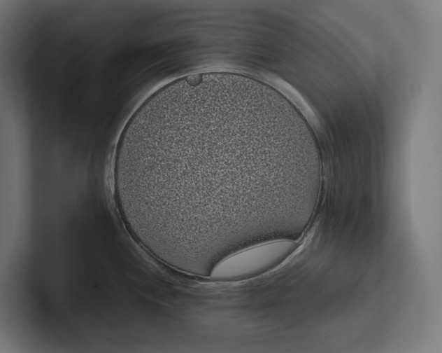 X0000101991244200808011055