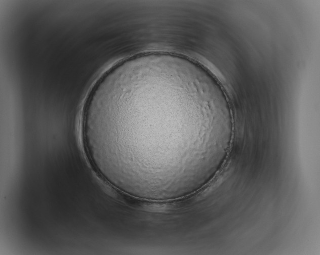 X0000101991245200808011055