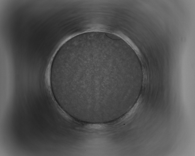 X0000101991246200808011055