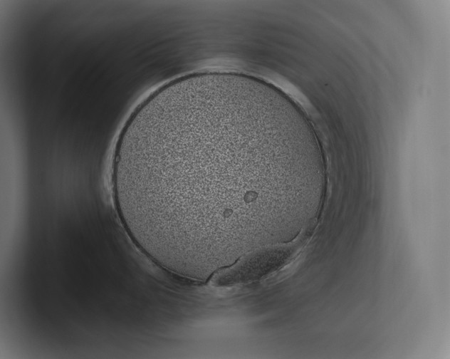 X0000101991248200808011055