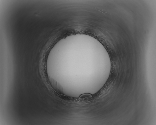 X0000101991249200808011054