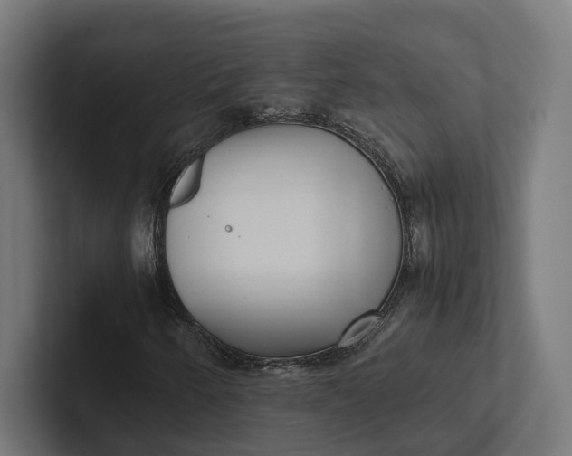 X0000101991250200808011054