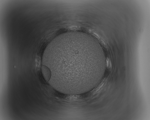 X0000101991251200808011054