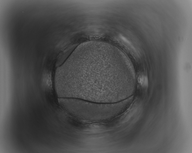 X0000101991252200808011054