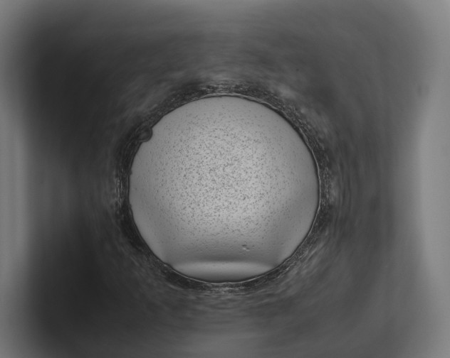 X0000101991253200808011054