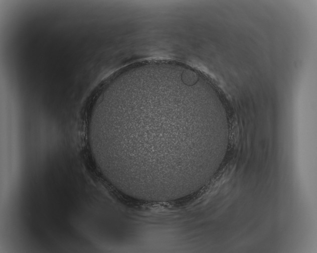 X0000101991255200808011054