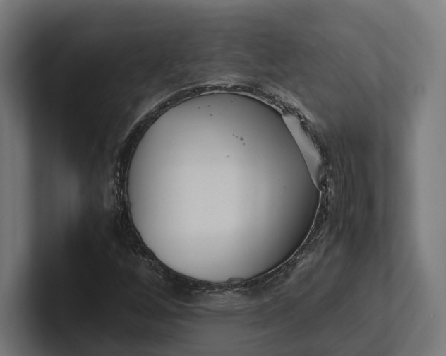 X0000101991256200808011054