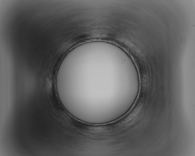 X0000101991257200808011054