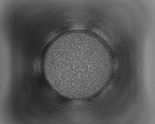 X0000101991258200808011054