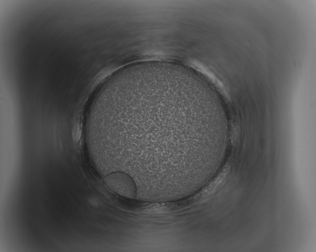 X0000101991259200808011054