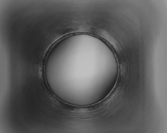 X0000101991260200808011054