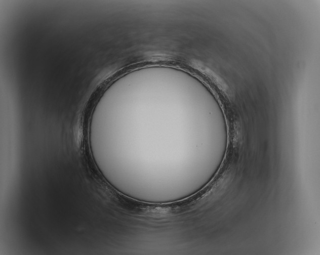 X0000101991261200808011054