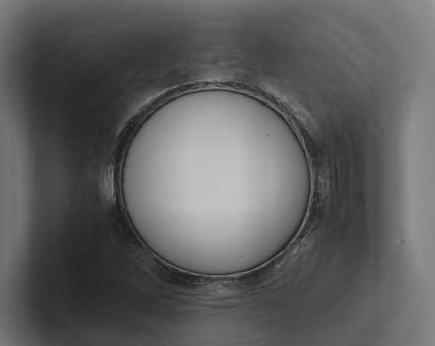 X0000101991262200808011054