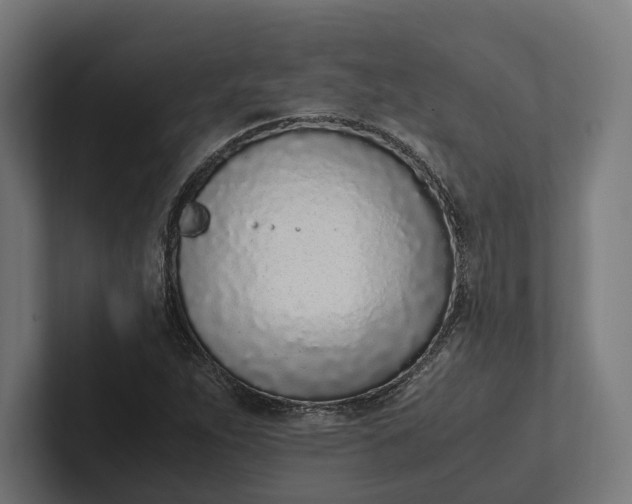 X0000101991263200808011054