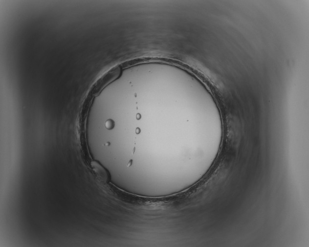 X0000101991264200808011054