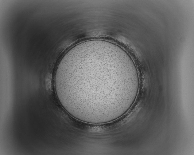 X0000101991265200808011054