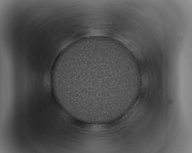 X0000101991266200808011054