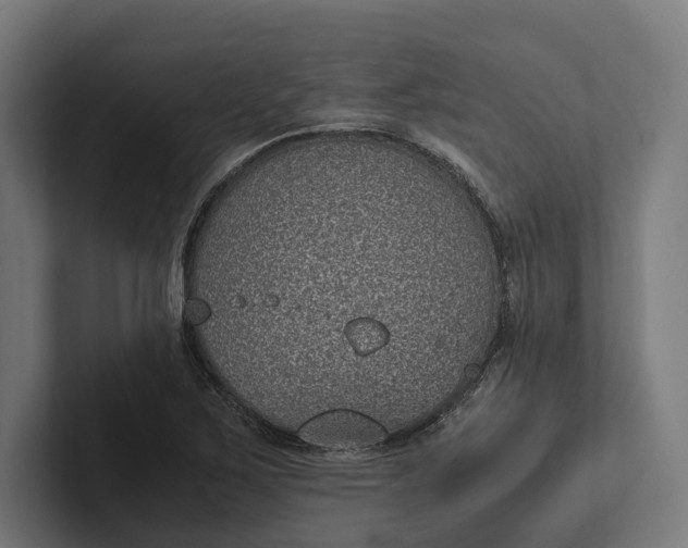 X0000101991267200808011054