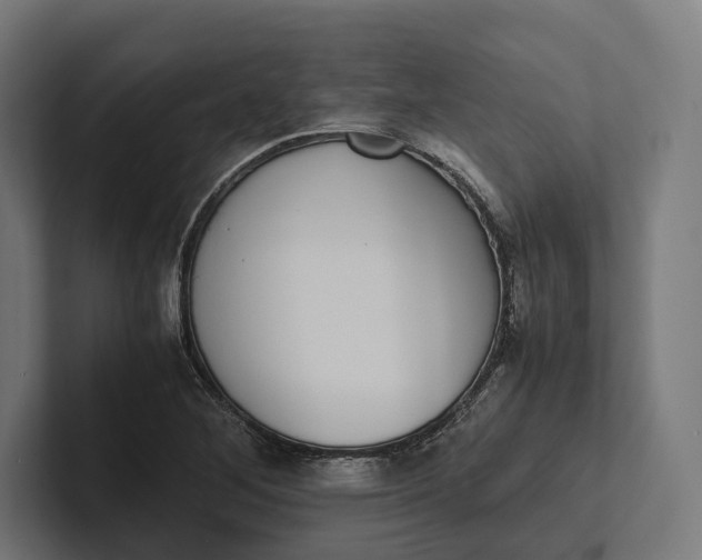 X0000101991268200808011054