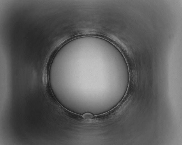 X0000101991269200808011054