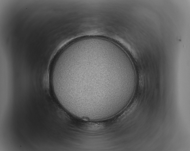 X0000101991270200808011054