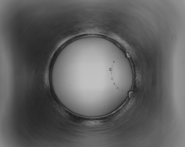 X0000101991272200808011054