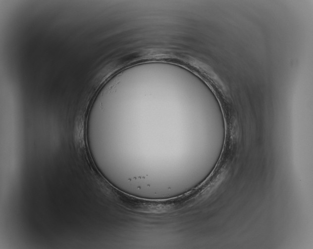 X0000101991273200808011054