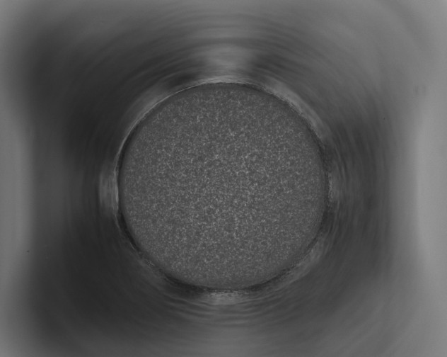 X0000101991274200808011054