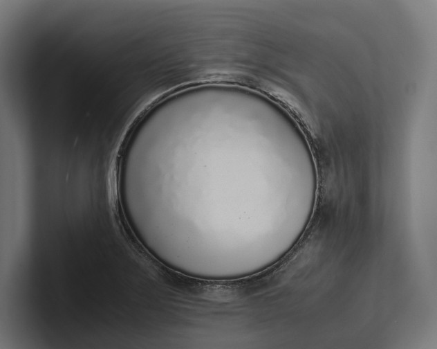 X0000101991275200808011054