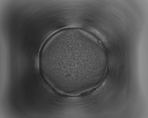 X0000101991276200808011054