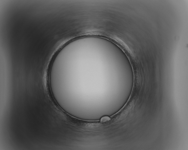 X0000101991277200808011054