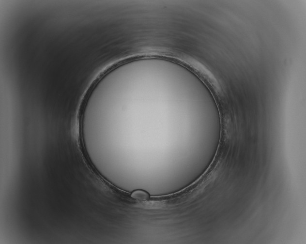 X0000101991280200808011054