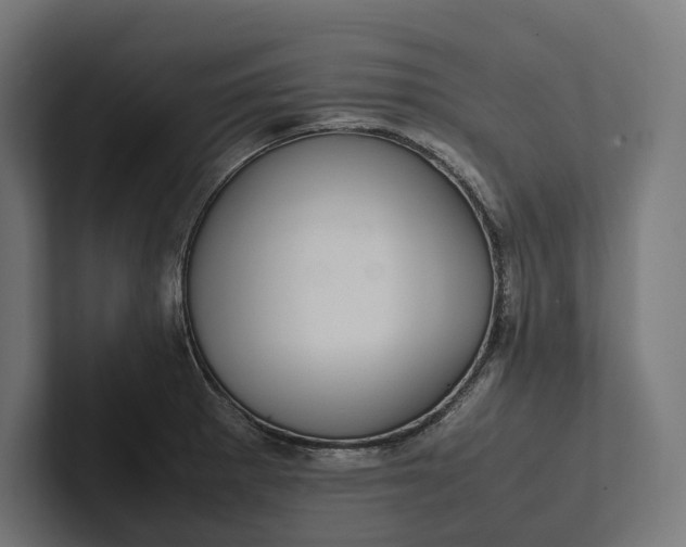 X0000101991281200808011054