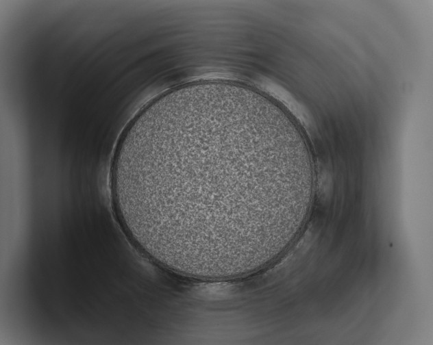 X0000101991282200808011054