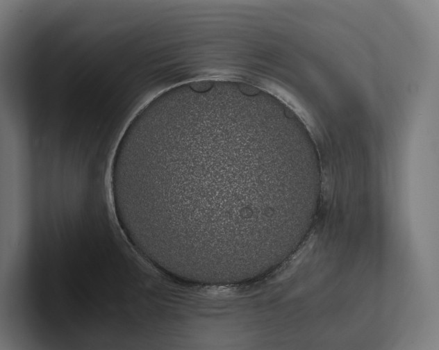 X0000101991283200808011054