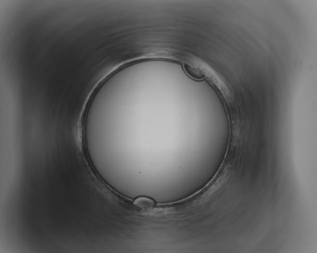 X0000101991284200808011054