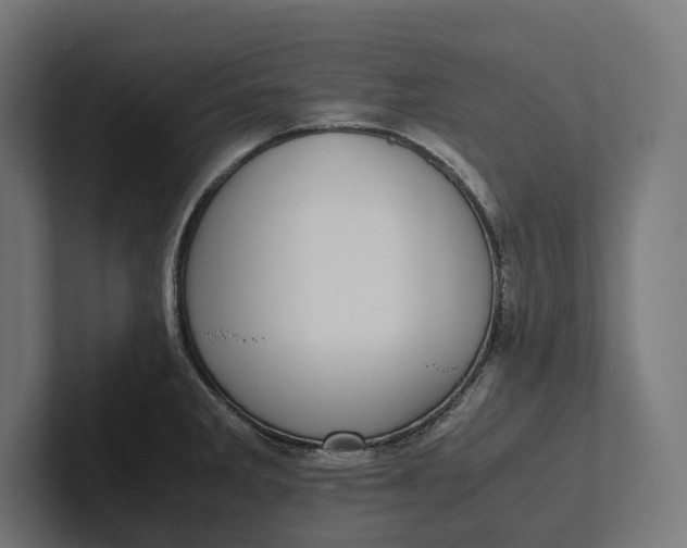 X0000101991285200808011053