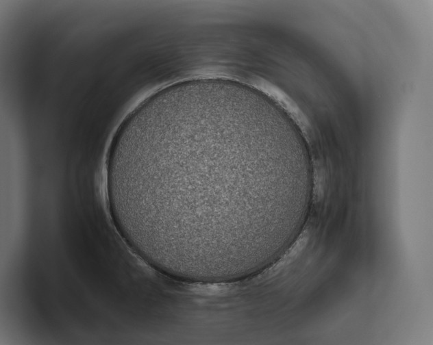 X0000101991286200808011053