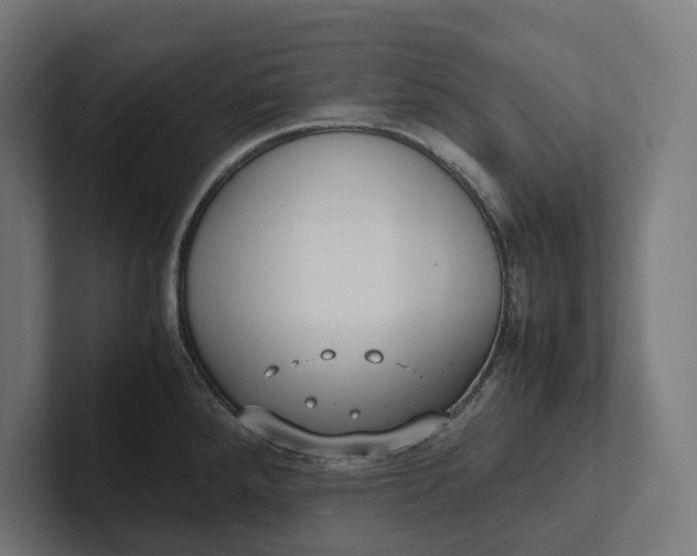 X0000101991288200808011053