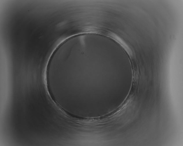 X0000101991291200808011053