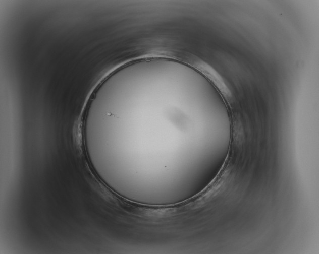 X0000101991292200808011053