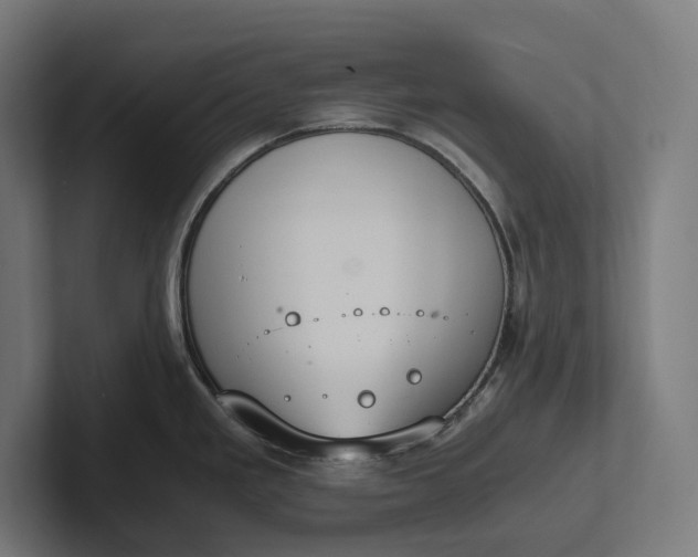 X0000101991293200808011053