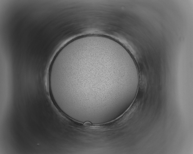 X0000101991295200808011053