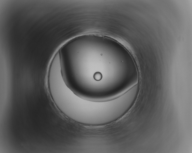 X0000101991296200808011053