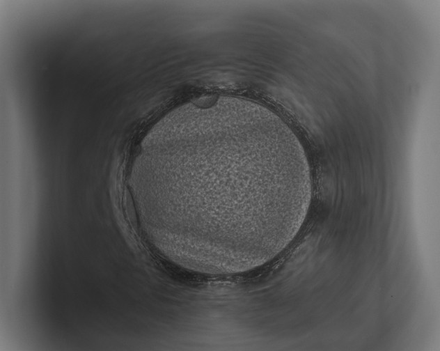 X0000101991297200808011053