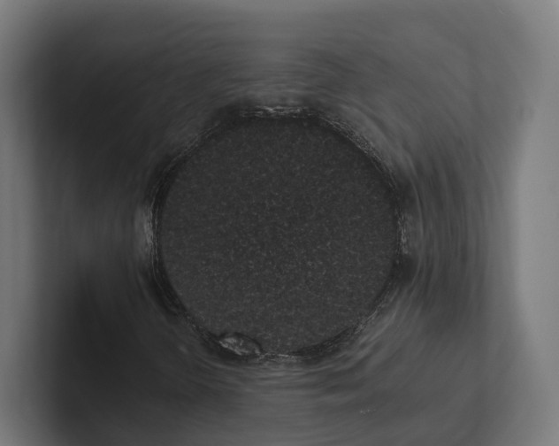 X0000101991298200808011053